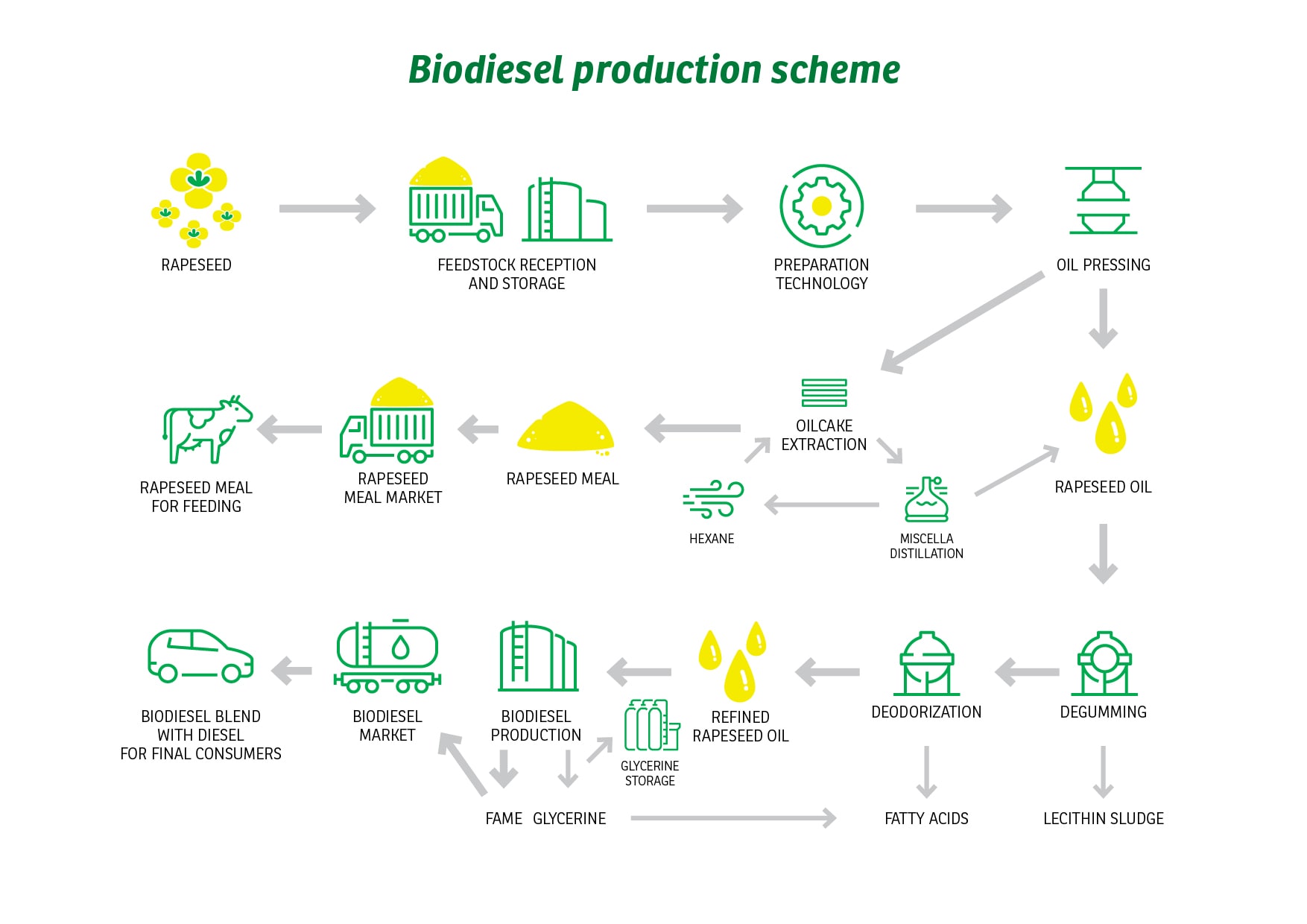 Inforgraphics: biodiesel production scheme